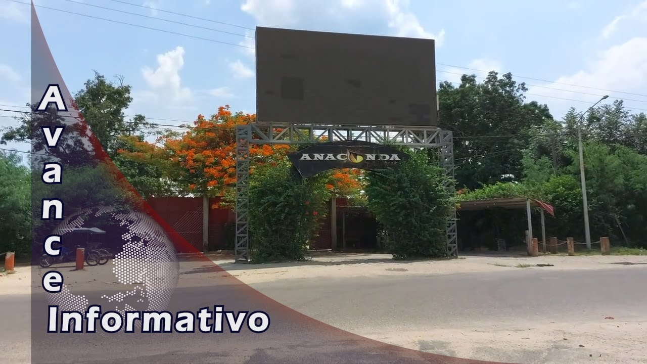 Avance Informativo Viernes 03 de Febrero del 2023 Televisión Tarapoto