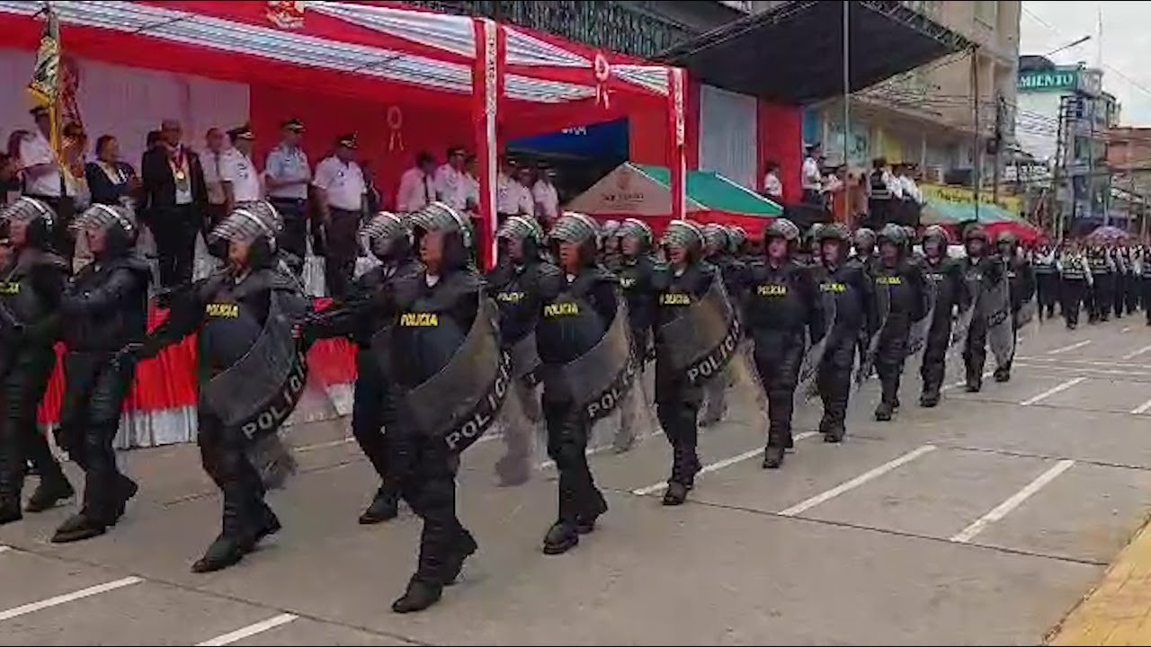 Tarapoto Con gallardía, se realizó desfile cívico militar por los 203